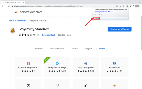 Chrome Web Store page with FoxyProxy Standard extension.